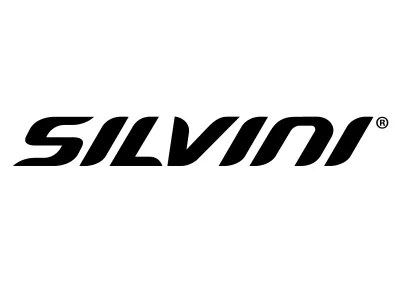 SILVINI